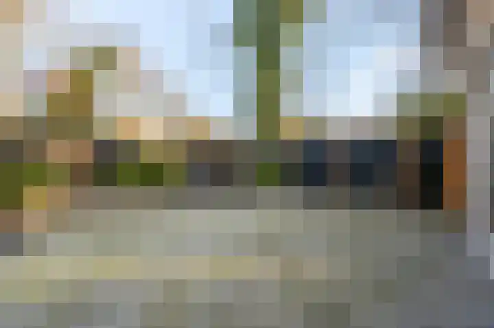 Mosselsepad 24 A Otterlo thumbnail 31