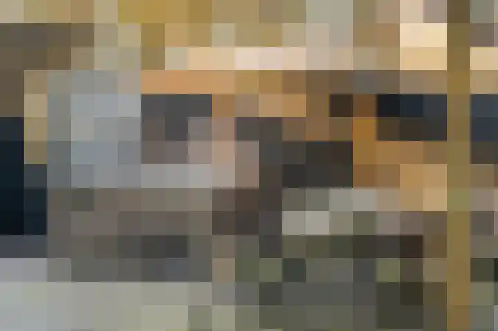 Mosselsepad 24 A Otterlo thumbnail 33