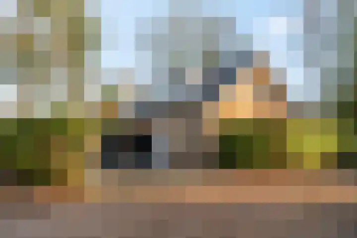 Mosselsepad 24 A Otterlo thumbnail 37