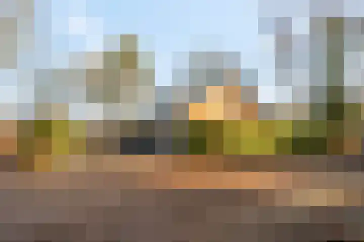 Mosselsepad 24 A Otterlo thumbnail 40