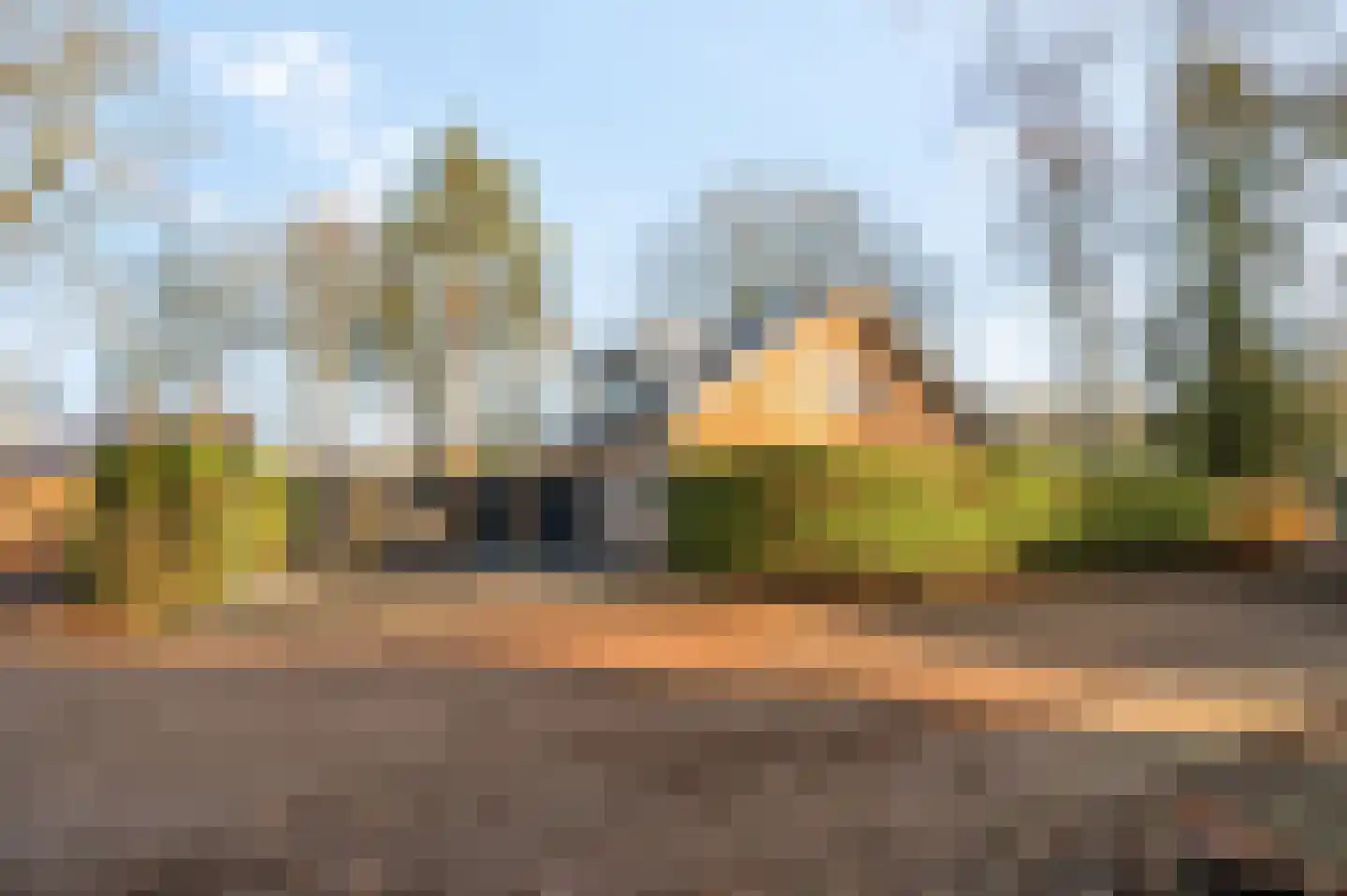 Mosselsepad 24 A Otterlo thumbnail 40
