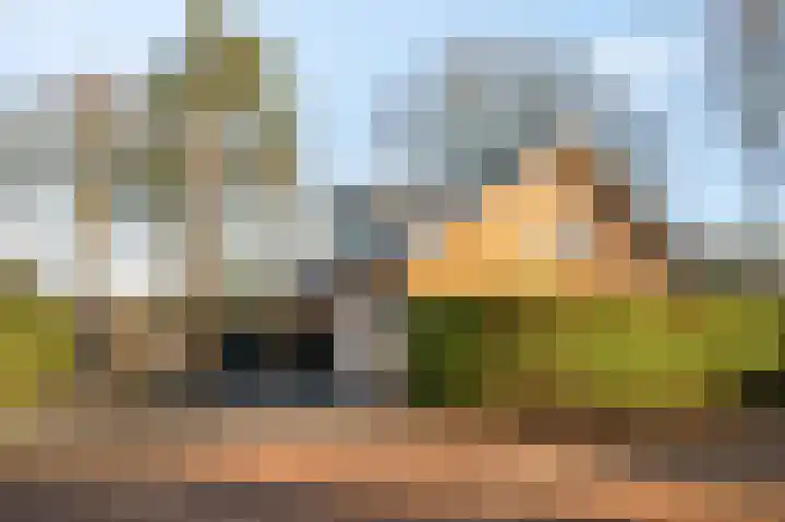 Mosselsepad 24 A Otterlo thumbnail 41