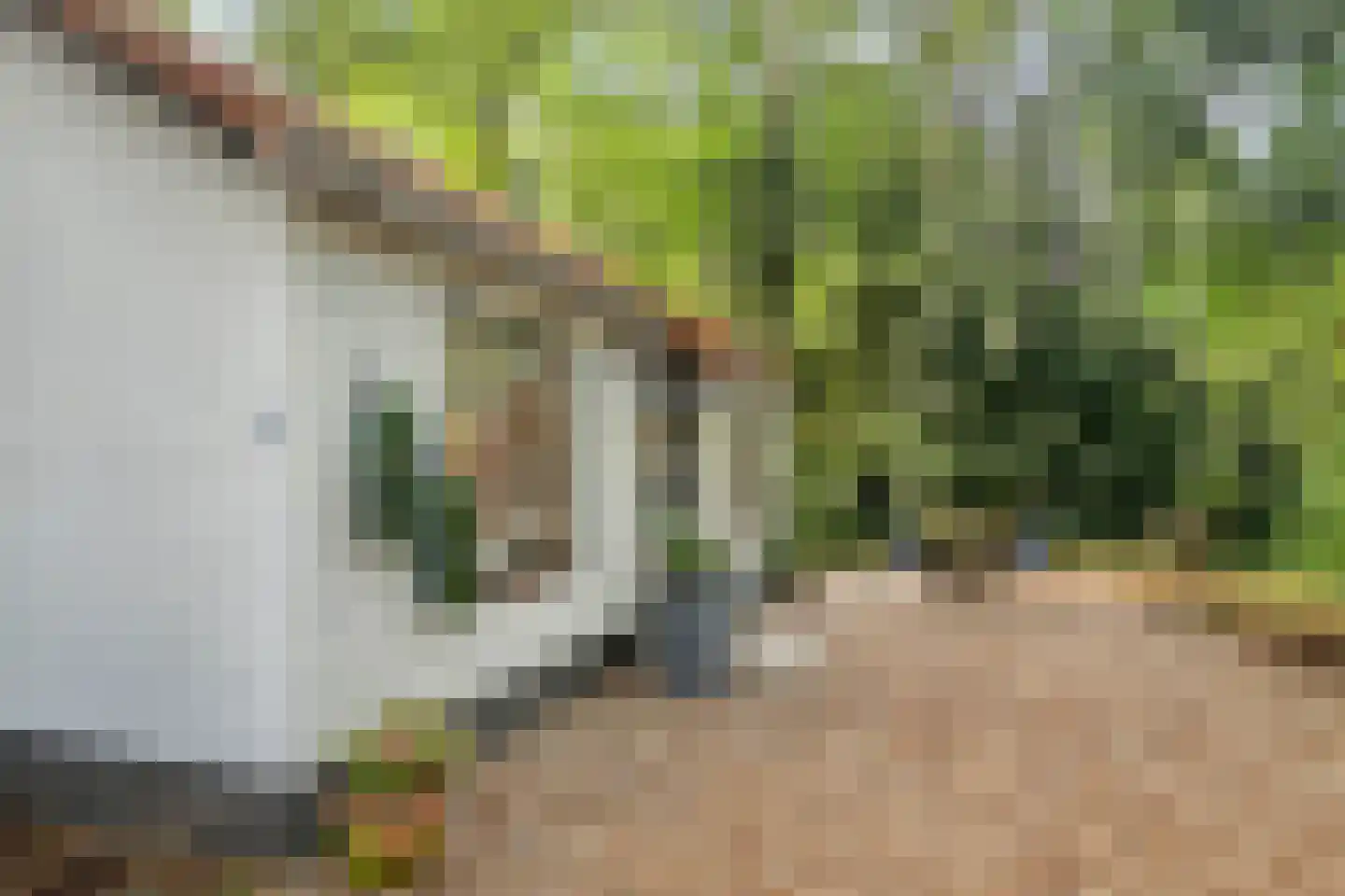 Mosselsepad 24 K Otterlo thumbnail 22
