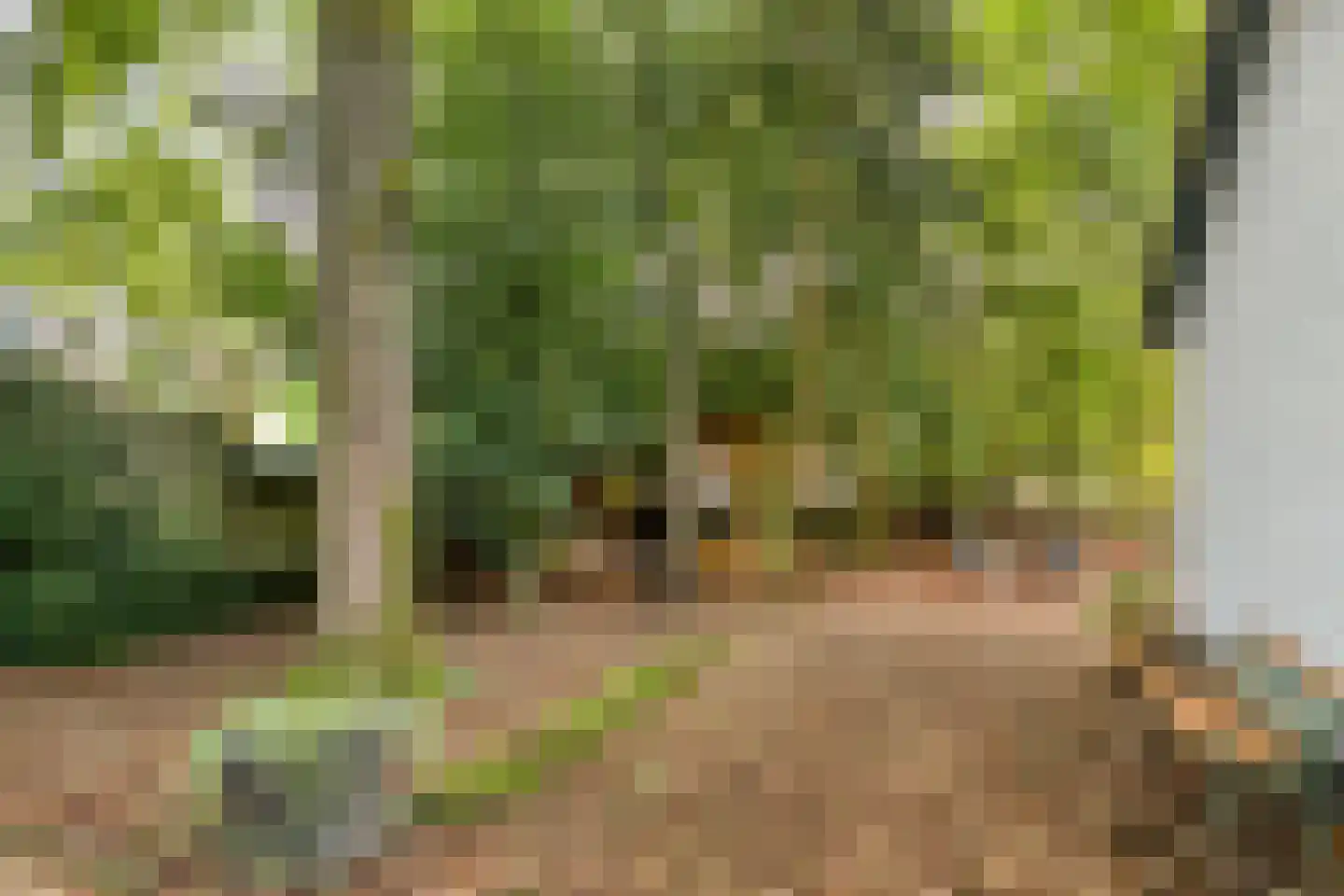 Mosselsepad 24 K Otterlo thumbnail 25
