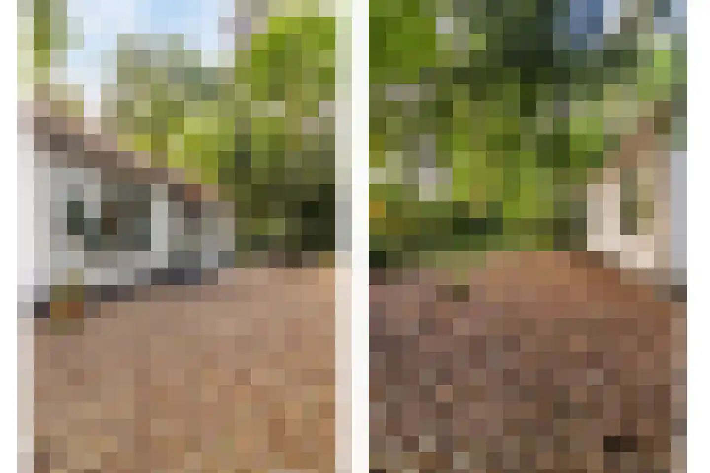 Mosselsepad 24 K Otterlo thumbnail 26