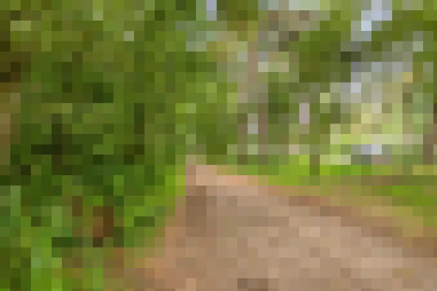 Mosselsepad 24 K Otterlo thumbnail 27