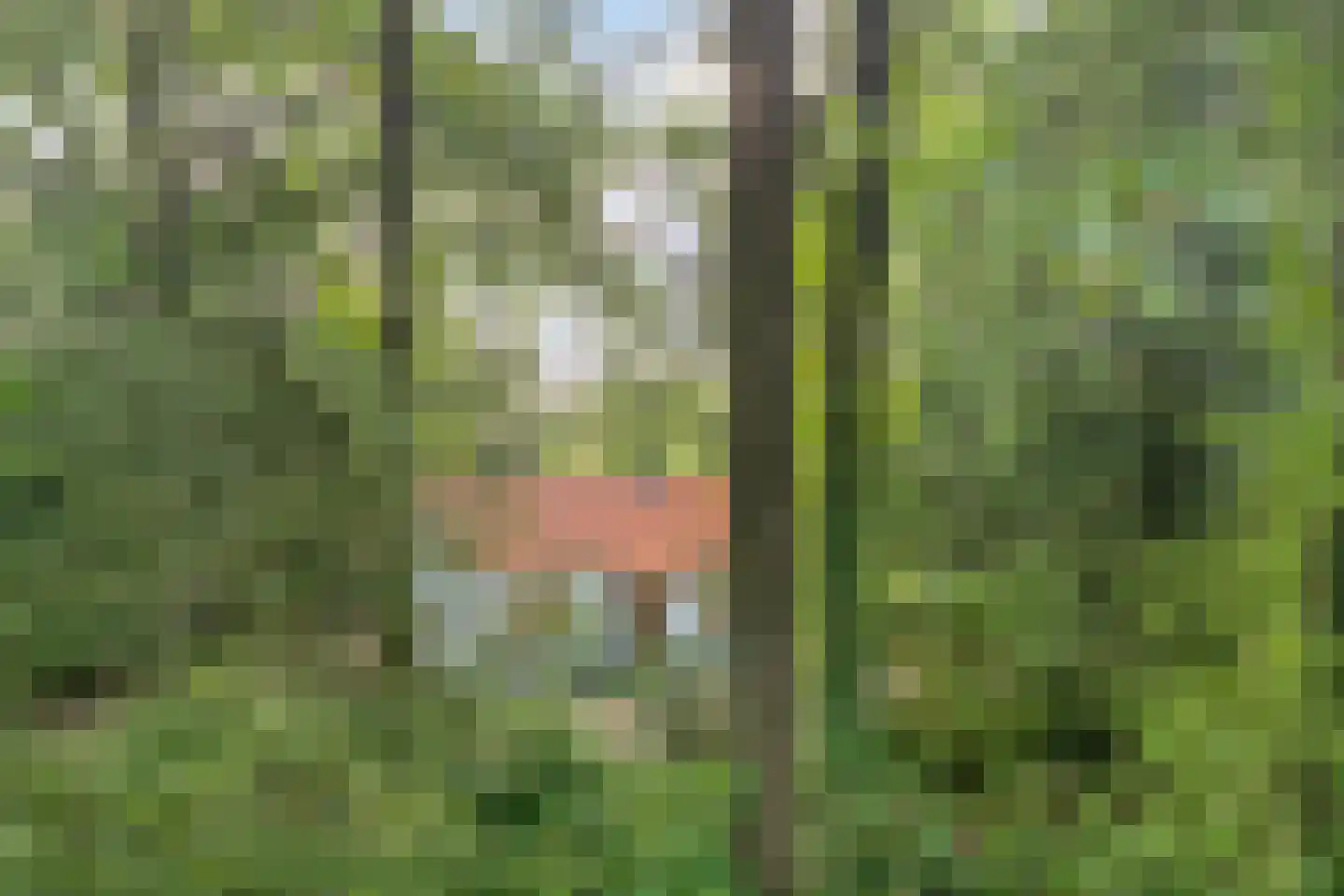Mosselsepad 24 K Otterlo thumbnail 4