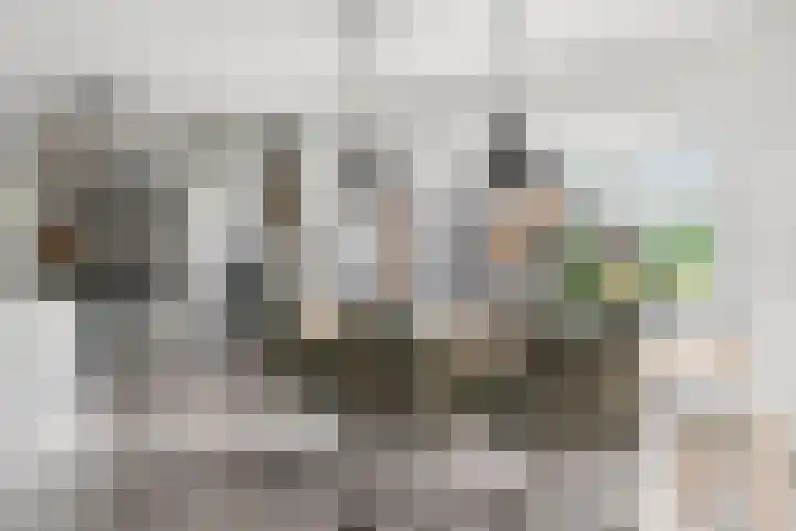 Mosselsepad 37 Otterlo thumbnail 14
