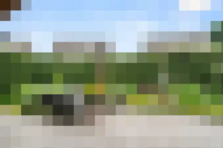 Mosselsepad 37 Otterlo thumbnail 35