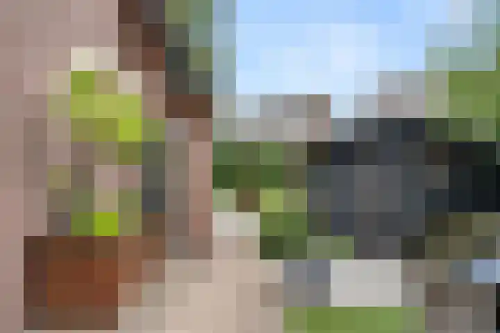 Mosselsepad 37 Otterlo thumbnail 38