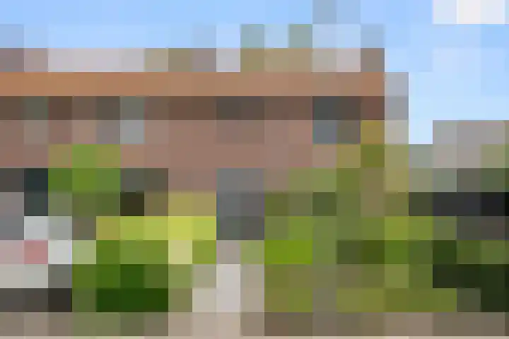 Mosselsepad 37 Otterlo thumbnail 4