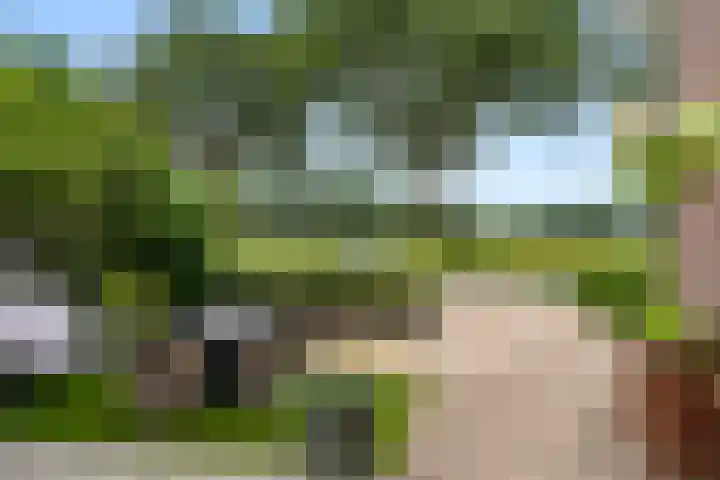 Mosselsepad 37 Otterlo thumbnail 40