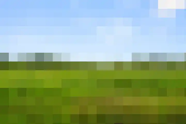 Mosselsepad 37 Otterlo thumbnail 5