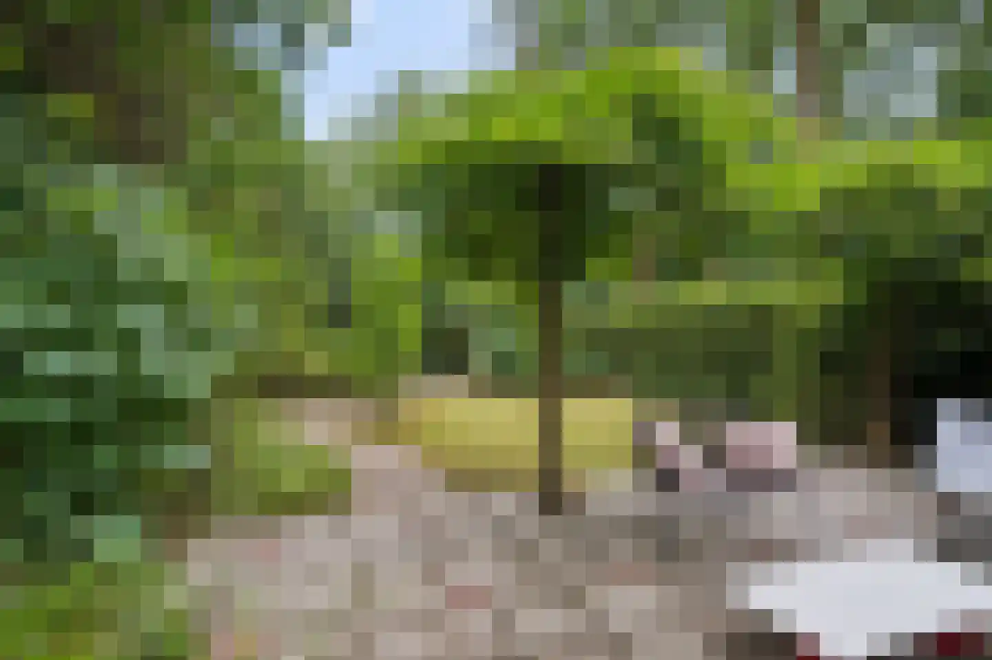 Mosselsepad 38 Otterlo thumbnail 32