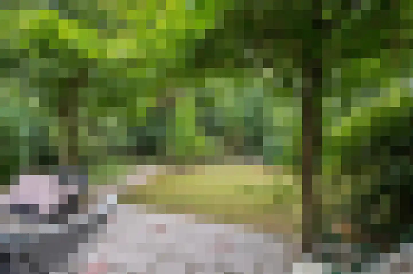 Mosselsepad 38 Otterlo thumbnail 33