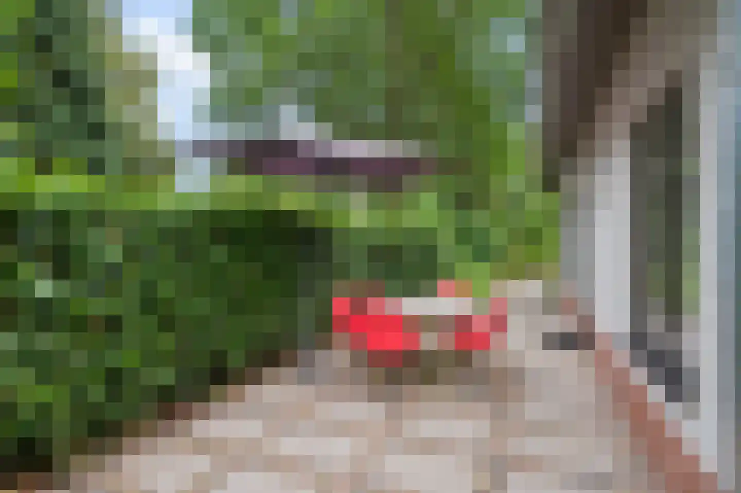Mosselsepad 38 Otterlo thumbnail 34