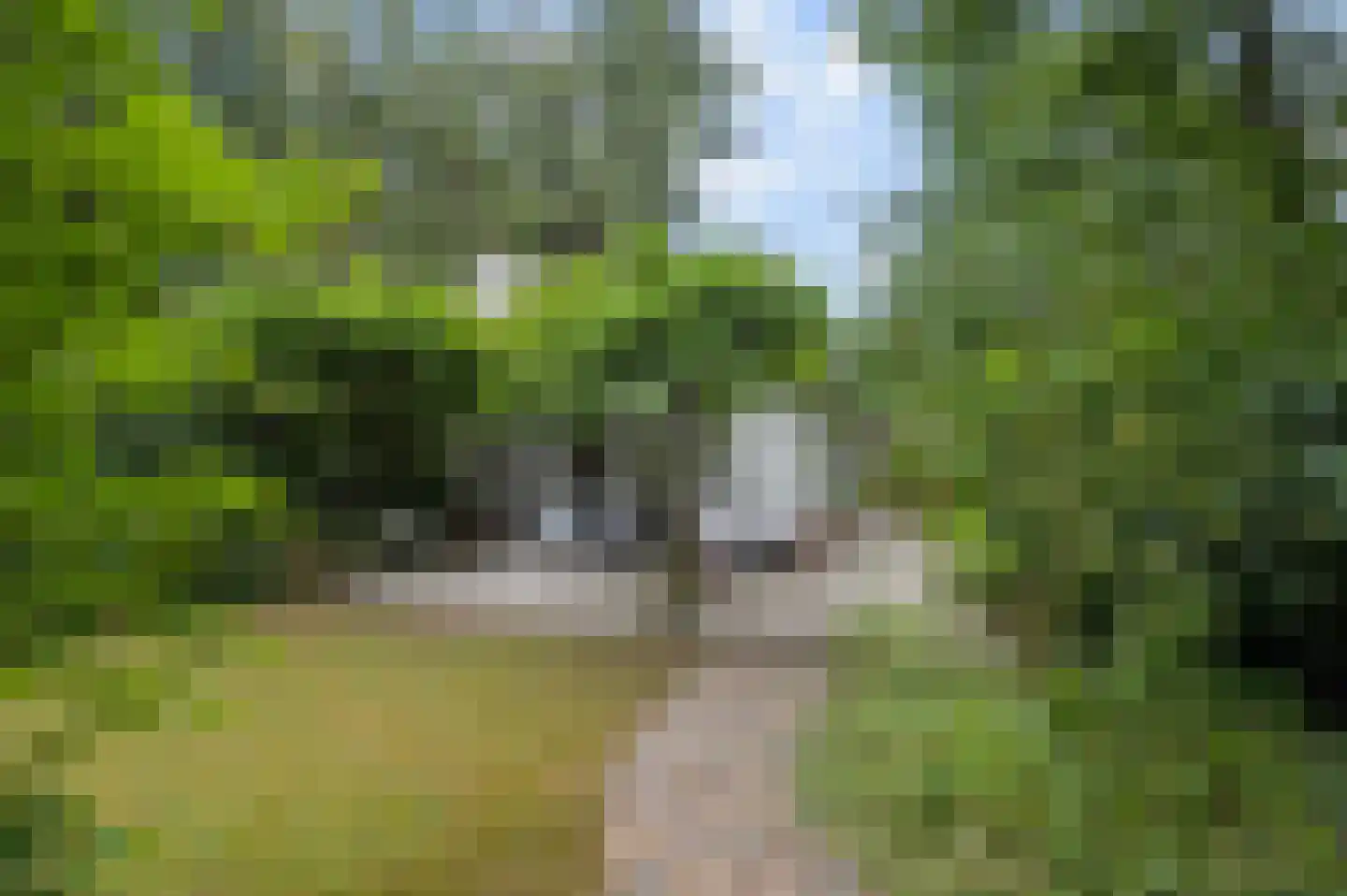 Mosselsepad 38 Otterlo thumbnail 38