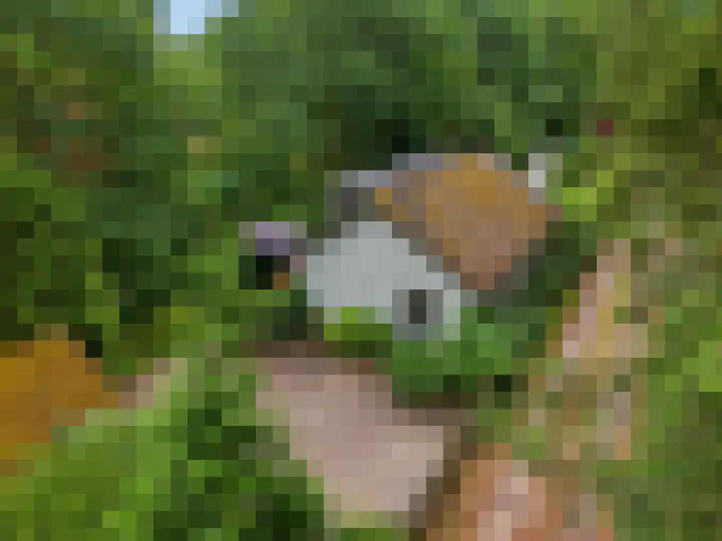 Mosselsepad 38 Otterlo thumbnail 39