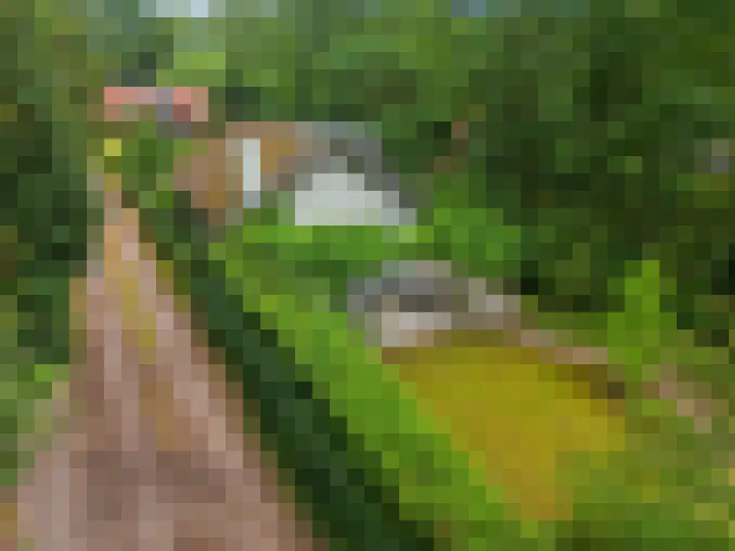 Mosselsepad 38 Otterlo thumbnail 40