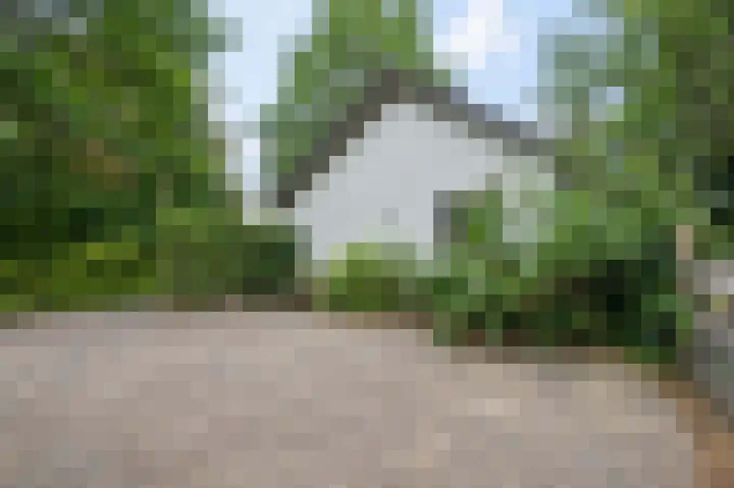Mosselsepad 38 Otterlo thumbnail 41