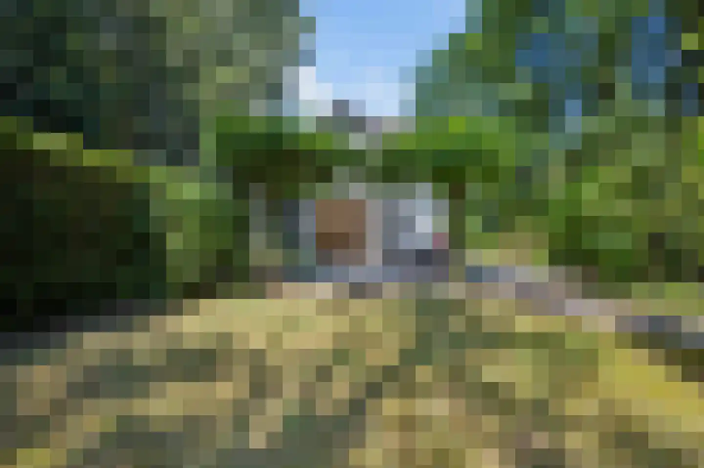 Mosselsepad 38 Otterlo thumbnail 47