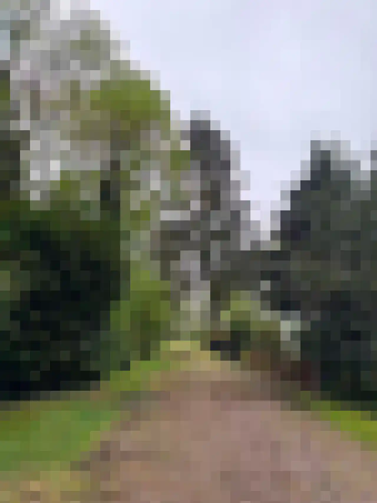 Mosselsepad 64 R 2 Otterlo thumbnail 11