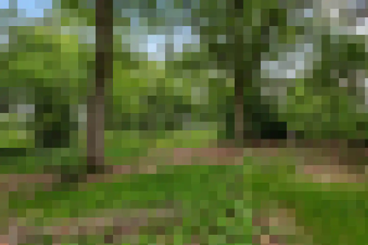 Mosselseweg 1 Vorden thumbnail 10
