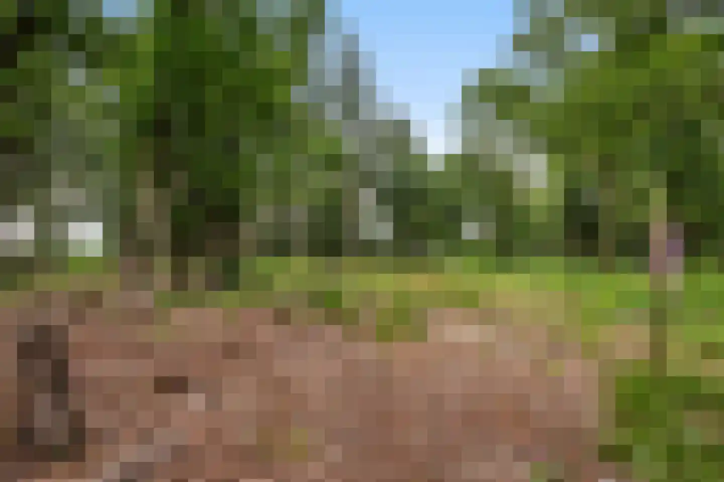 Mosselseweg 1 Vorden thumbnail 11