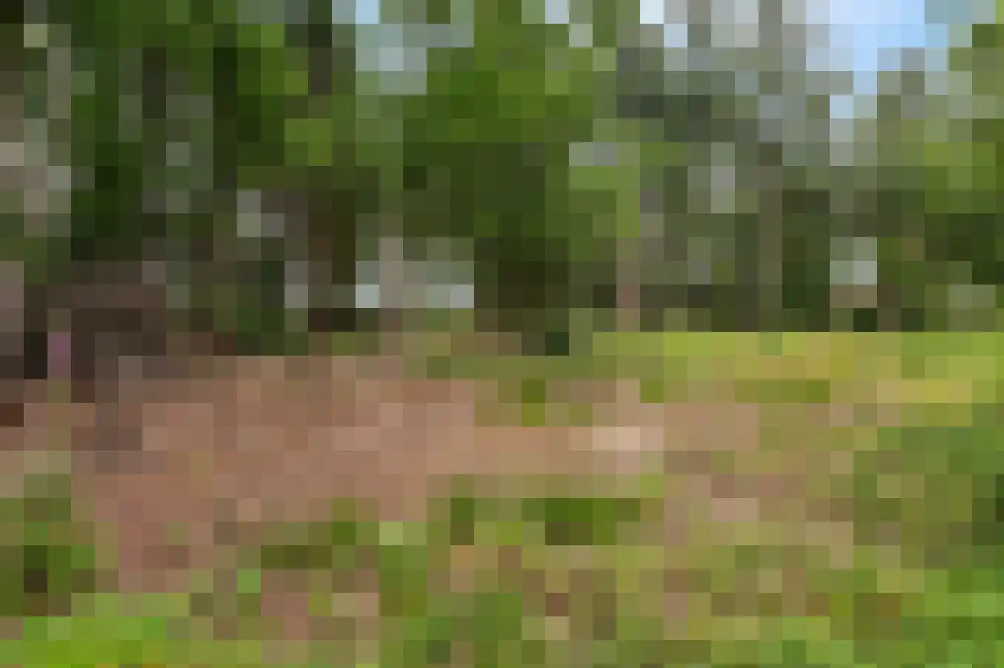 Mosselseweg 1 Vorden thumbnail 12