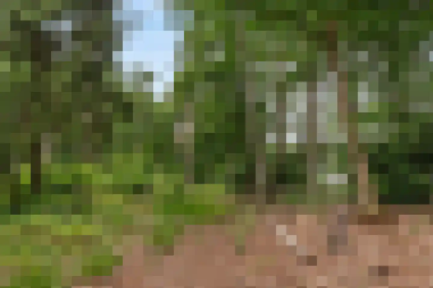Mosselseweg 1 Vorden thumbnail 13
