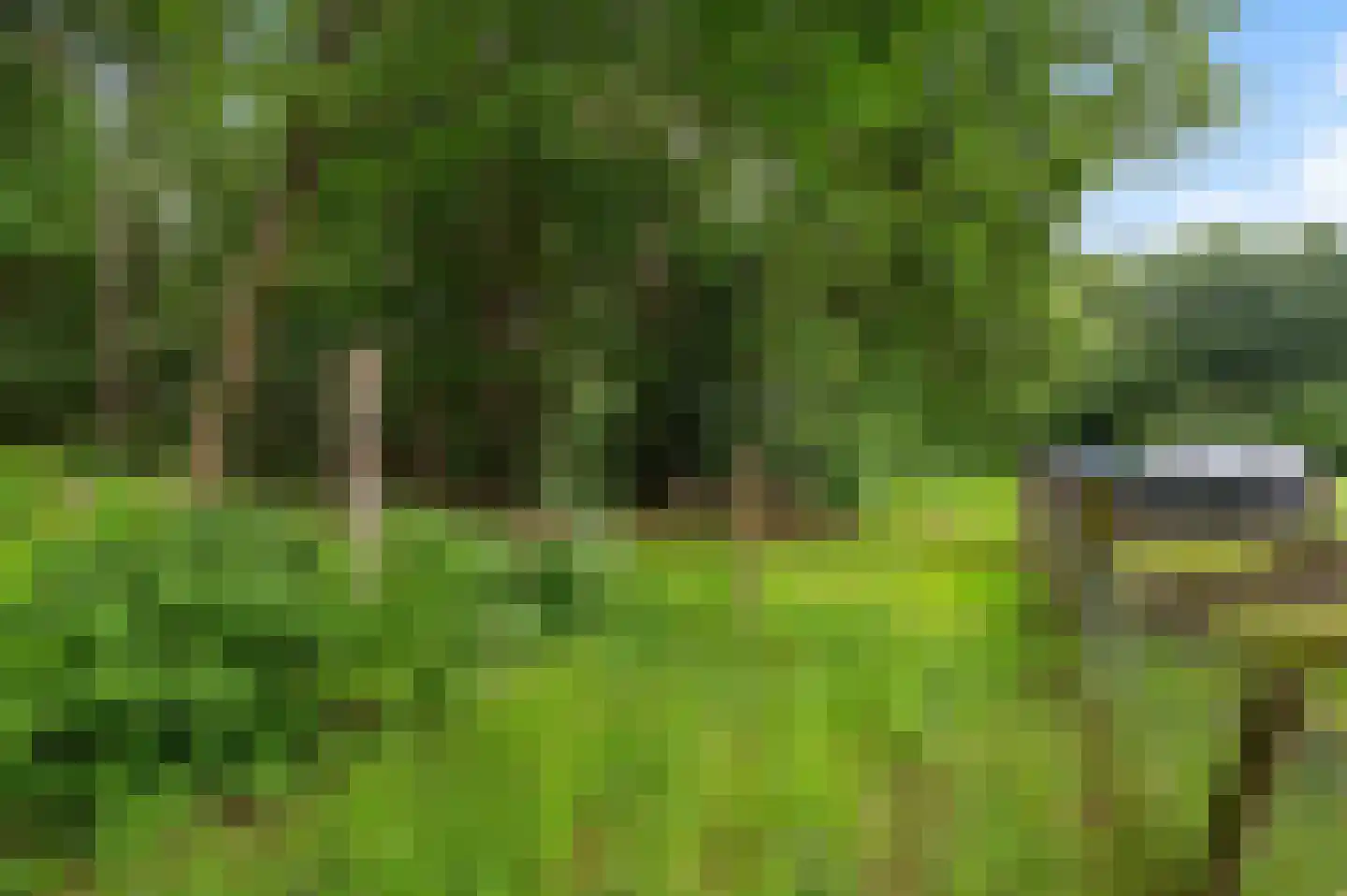 Mosselseweg 1 Vorden thumbnail 14