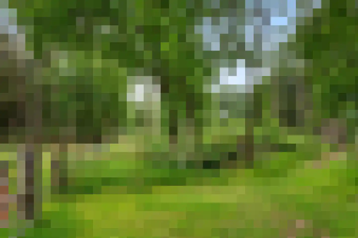 Mosselseweg 1 Vorden thumbnail 15