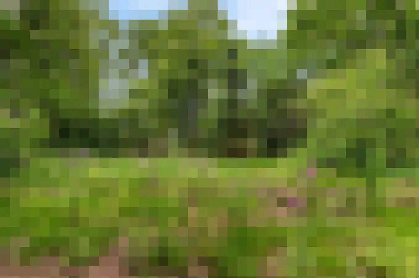 Mosselseweg 1 Vorden thumbnail 16