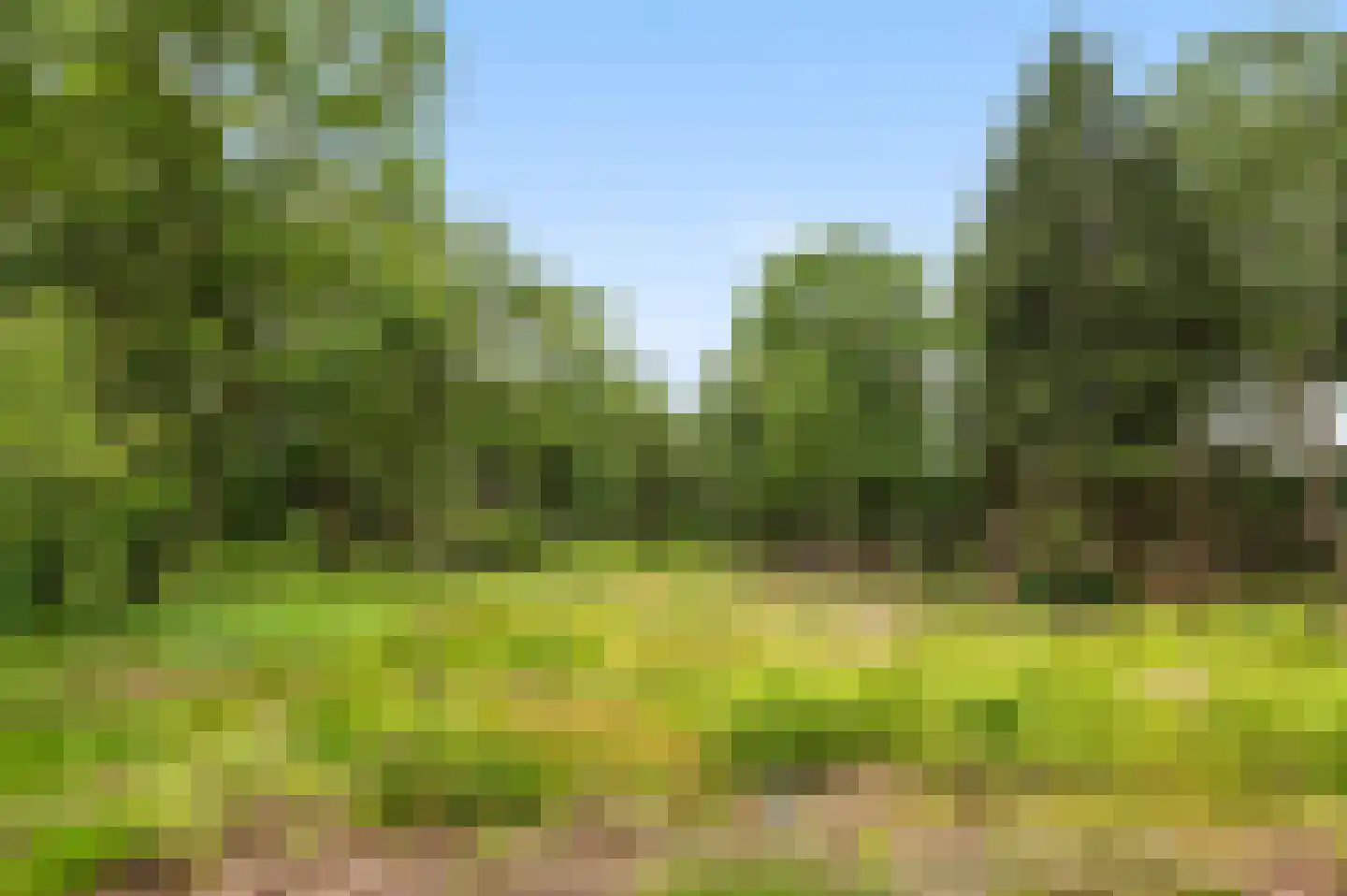 Mosselseweg 1 Vorden thumbnail 17