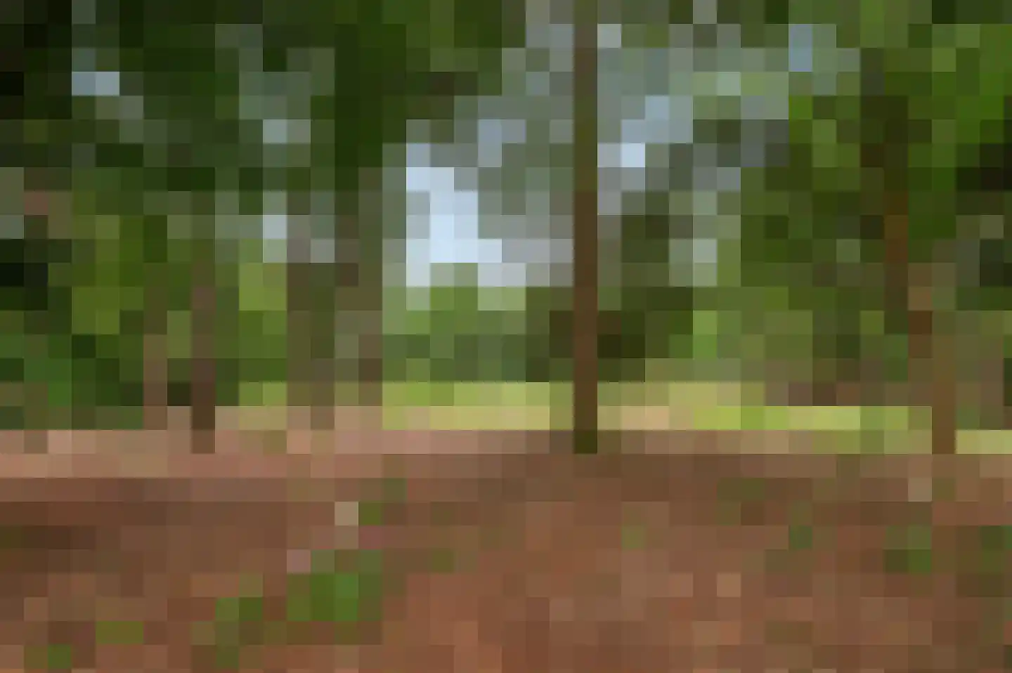 Mosselseweg 1 Vorden thumbnail 18