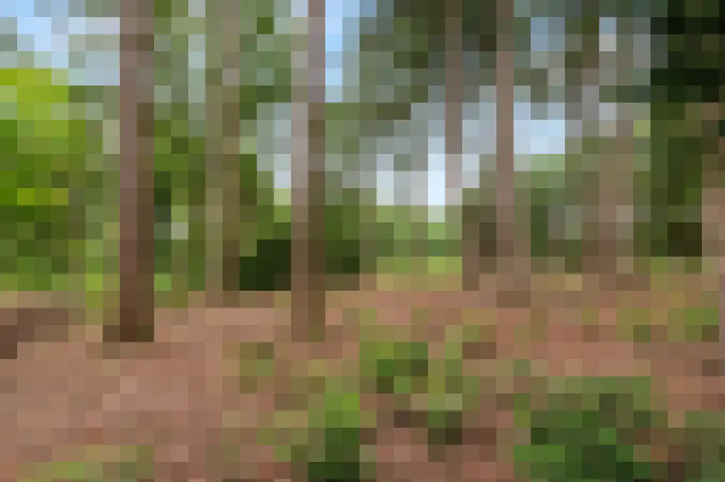 Mosselseweg 1 Vorden thumbnail 19