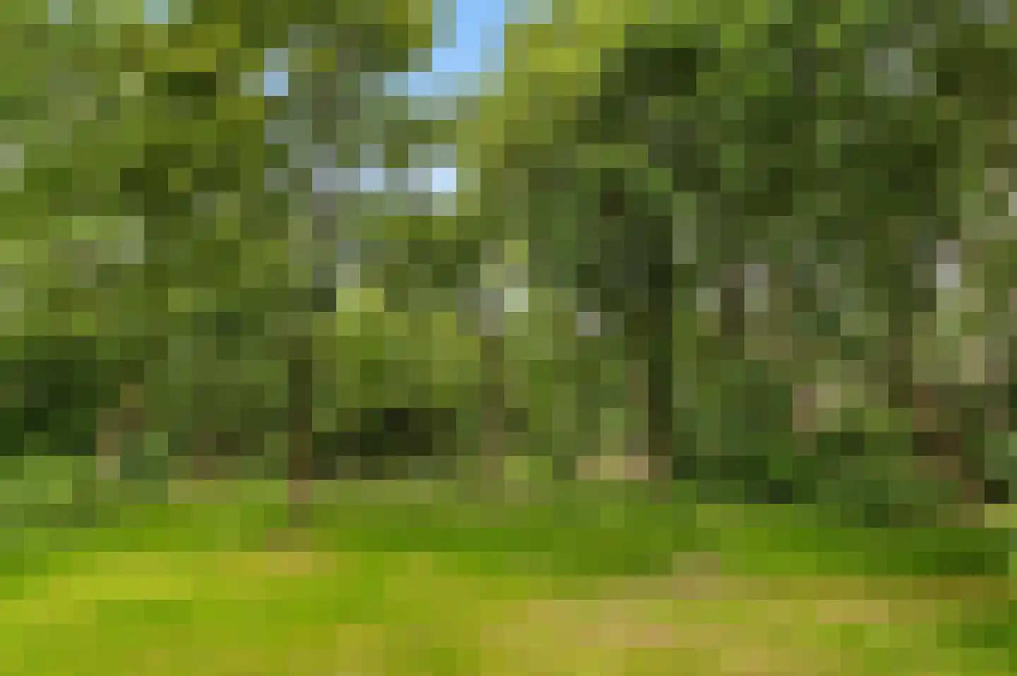 Mosselseweg 1 Vorden thumbnail 20