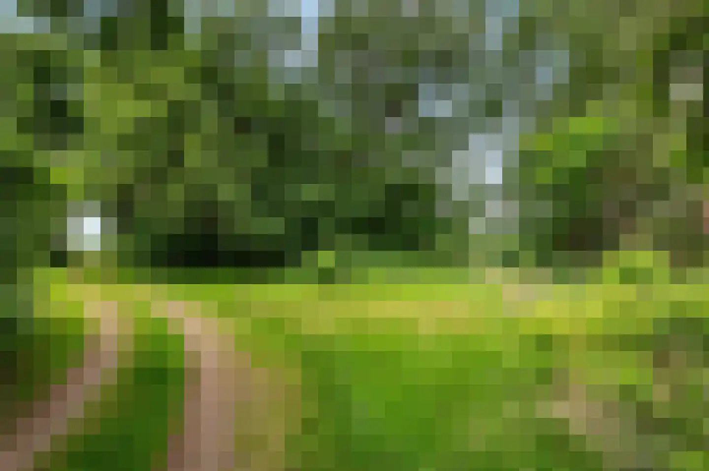 Mosselseweg 1 Vorden thumbnail 21