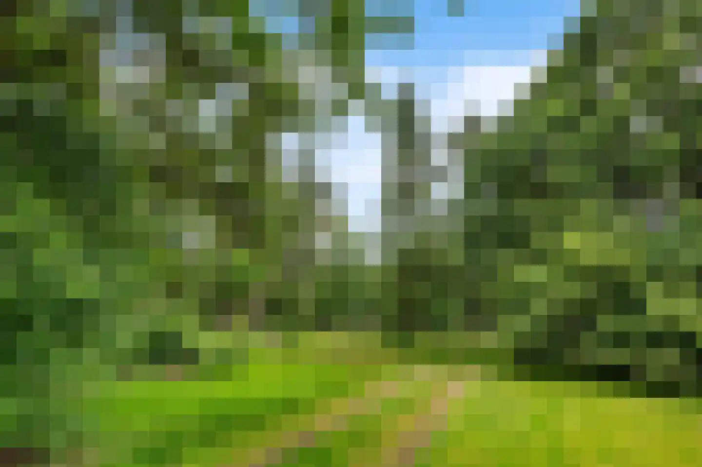 Mosselseweg 1 Vorden thumbnail 22