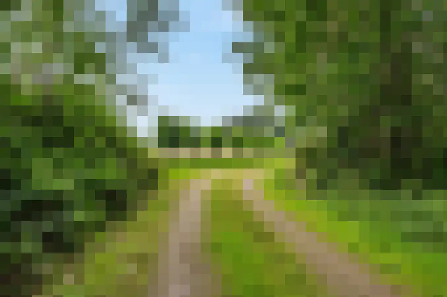 Mosselseweg 1 Vorden thumbnail 23