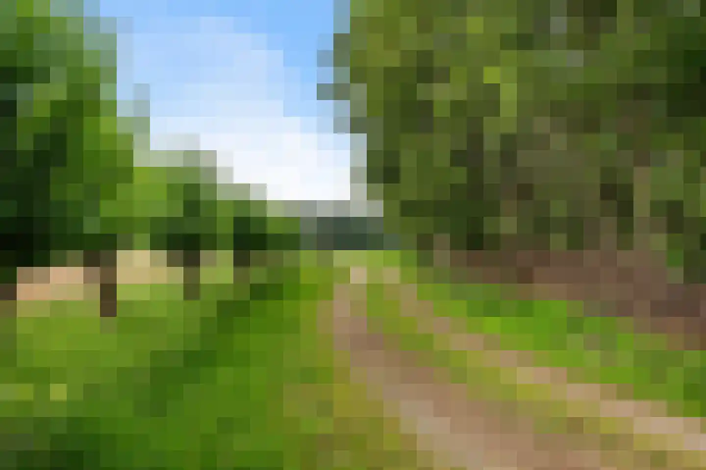 Mosselseweg 1 Vorden thumbnail 24