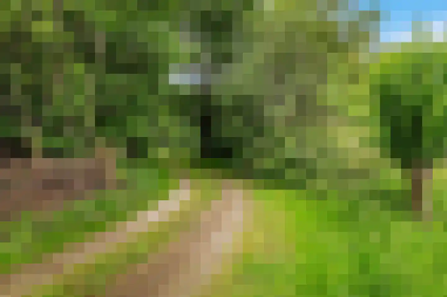 Mosselseweg 1 Vorden thumbnail 25