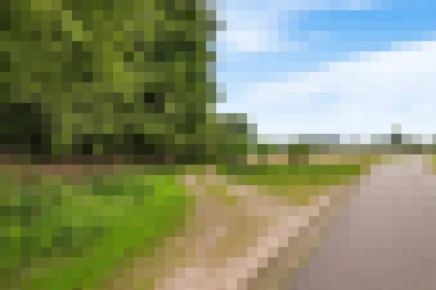 Mosselseweg 1 Vorden thumbnail 26