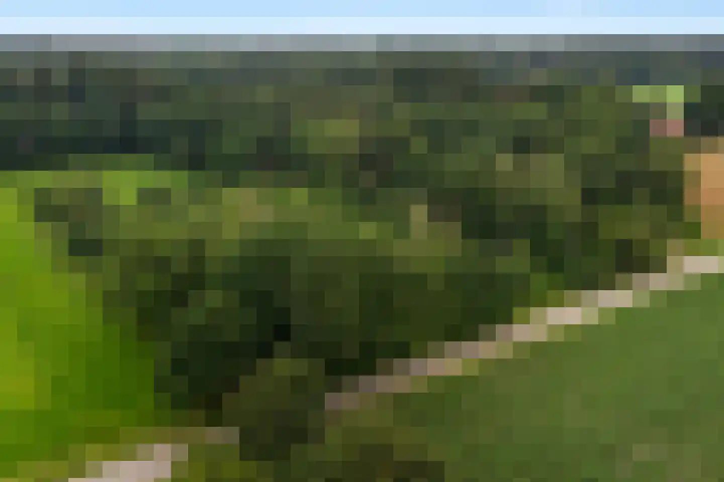 Mosselseweg 1 Vorden thumbnail 4