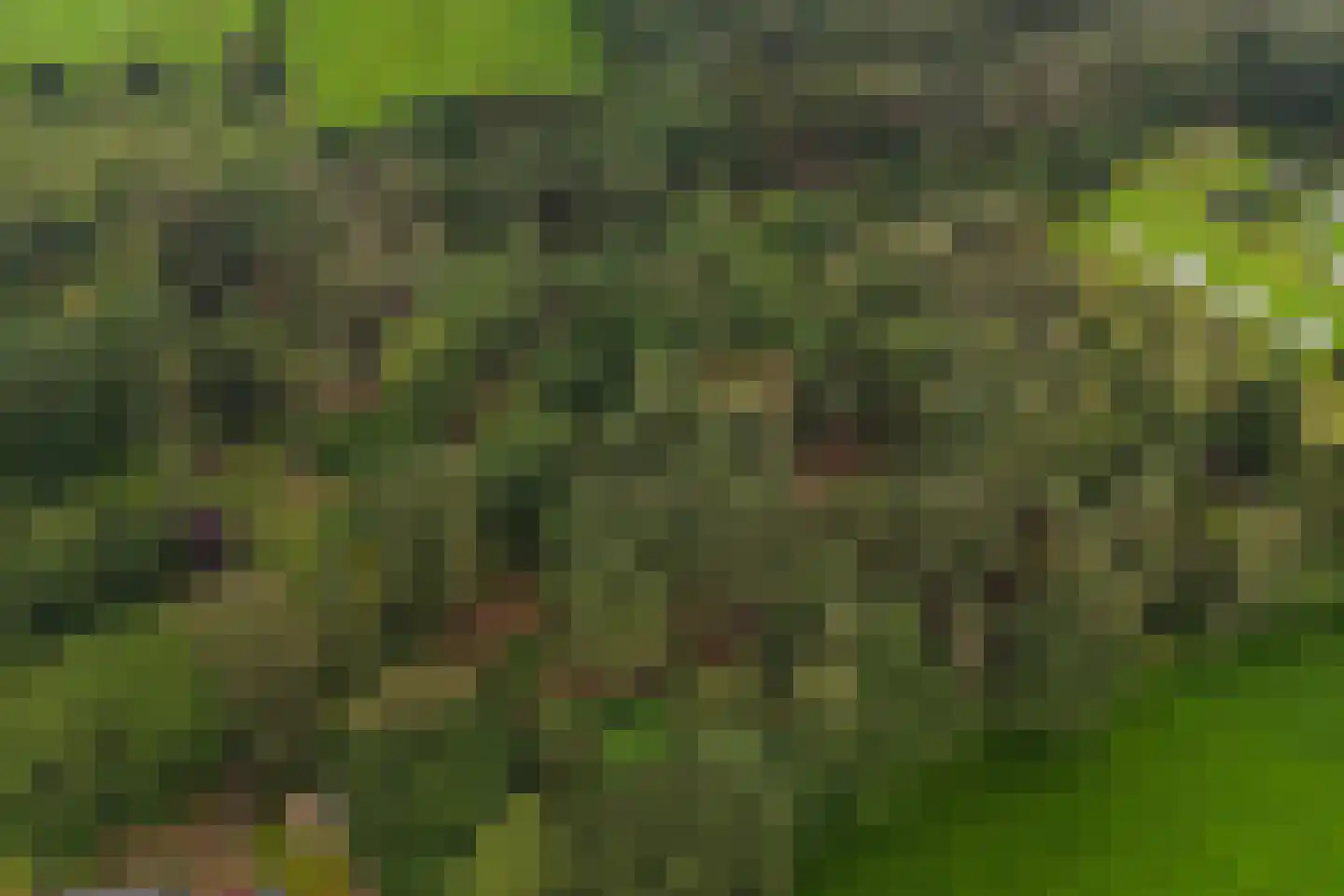 Mosselseweg 1 Vorden thumbnail 6