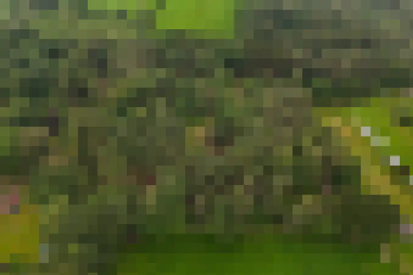 Mosselseweg 1 Vorden thumbnail 7