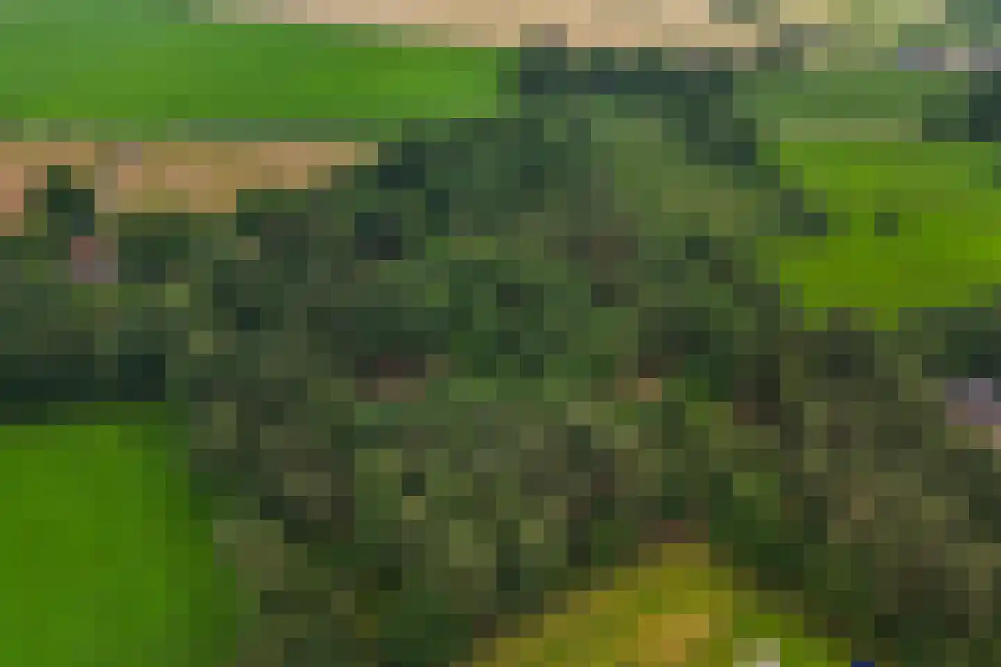 Mosselseweg 1 Vorden thumbnail 8