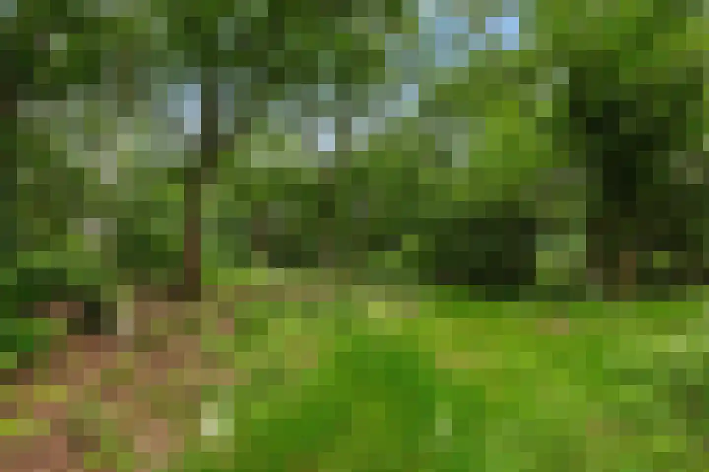 Mosselseweg 1 Vorden thumbnail 9