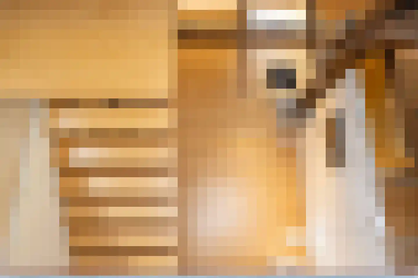 Mosselseweg 12 Vorden thumbnail 19