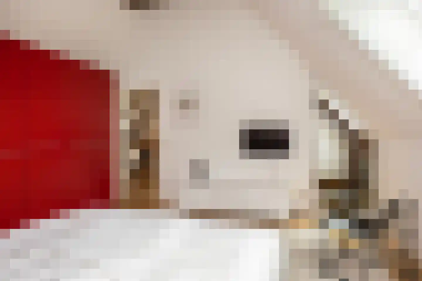 Mosselseweg 12 Vorden thumbnail 23